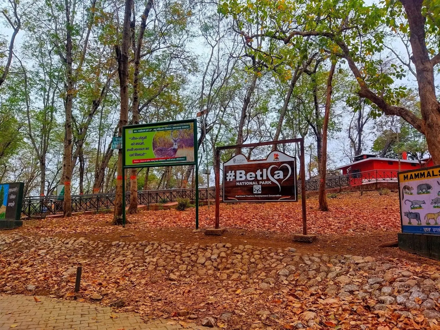 Ranchi to Betla